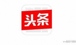 今日头条山东爆料视频下载,揭秘事件真相，引发网友热议