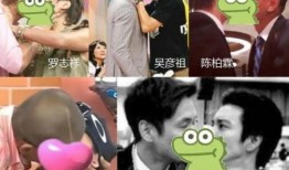 陈建州综艺爆料视频完整版,揭秘娱乐圈幕后真相